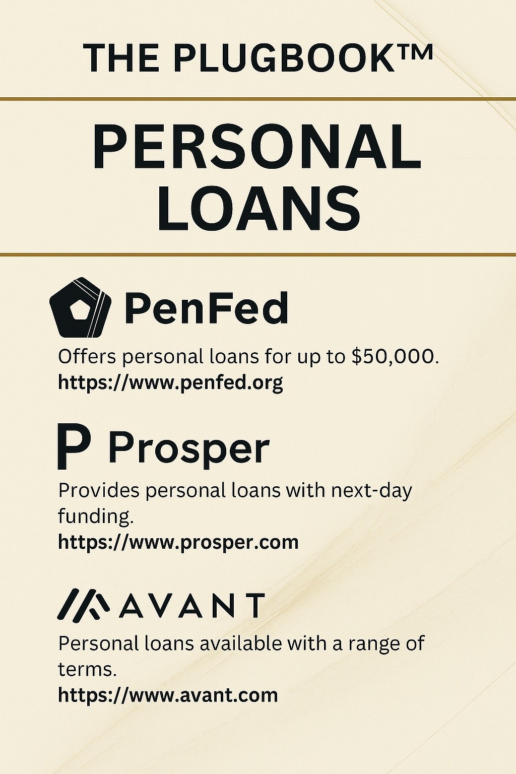 The PlugBook™ – Personal Loan Edition: Dispute Info (13 Pages)